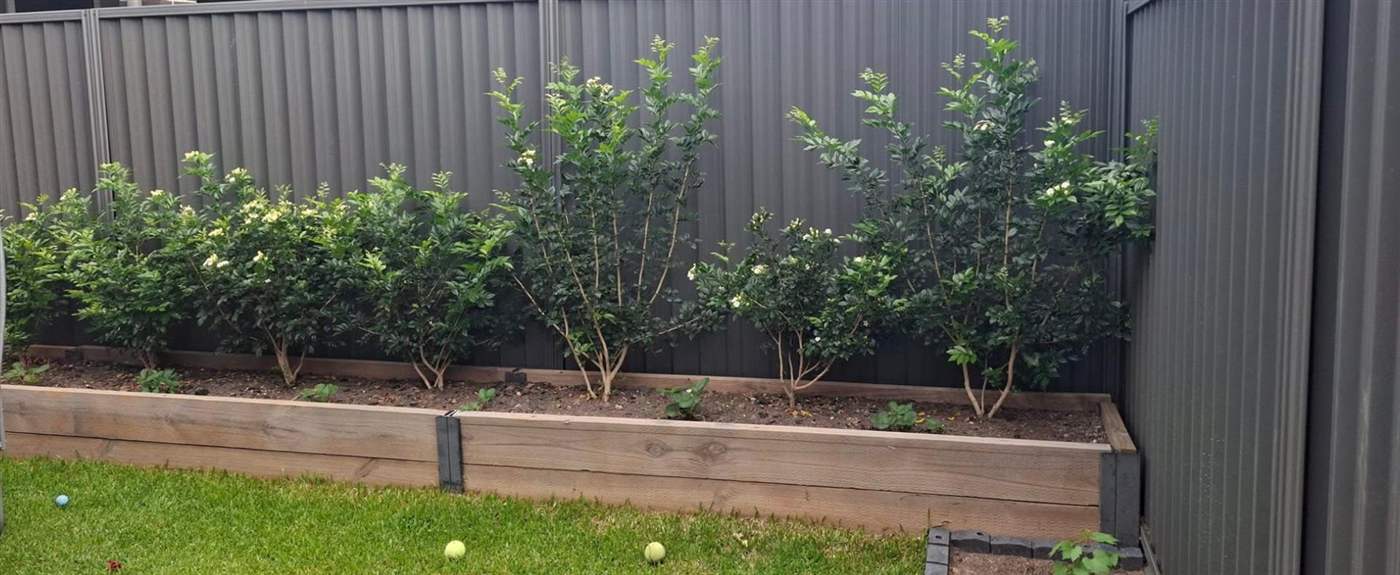 Retaining Wall Project 2